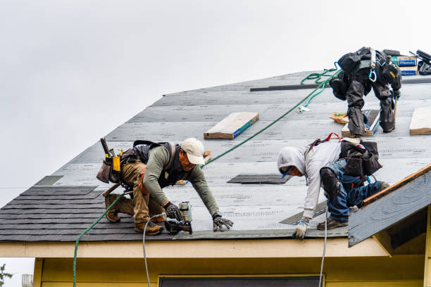 Professional Gutter Installation technician working in Mountain View, AR